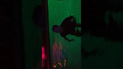 BBLIVE1969 VARIETY show September 16 Part 3