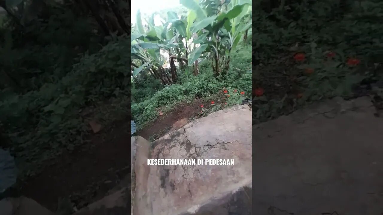 kesederhanaan di pedesaan #shortsfyp