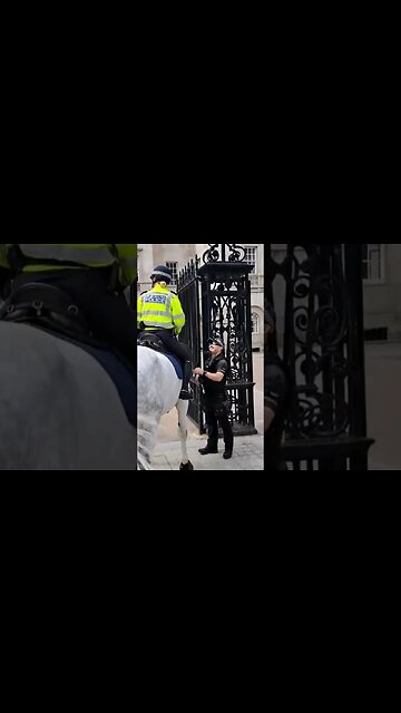 met police greets armed police #horseguardsparade