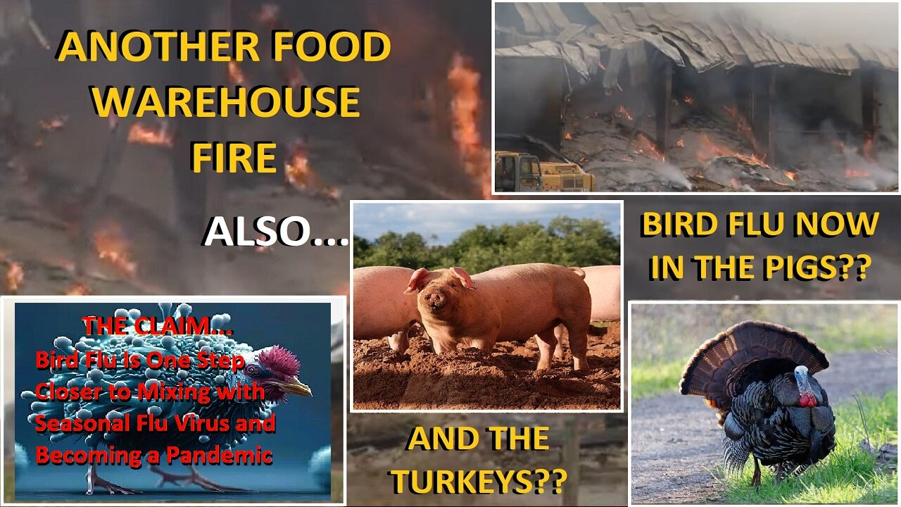 Another Food Warehouse Fire, Bird Flu In Pigs & Turkeys Now??