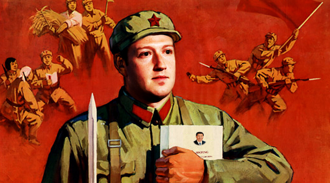Molly Hemingway exposed how billionaire tech mogul "Zuk" Zuckerberg created phony "Voter" nonprofits