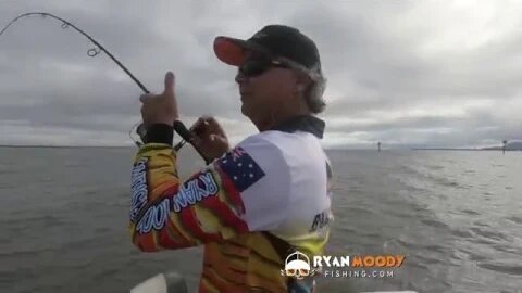 Powers of observation equal big barramundi