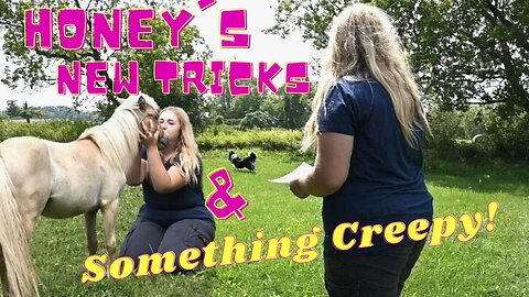Honeys New Tricks And We Found A Creepy Spot On Our New Property!