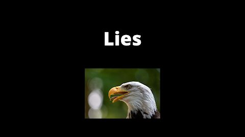 Then There Were Lies