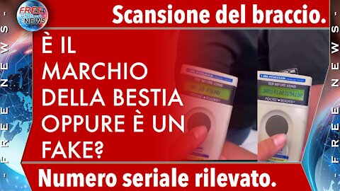 Scansione del braccio: numero seriale rilevato.