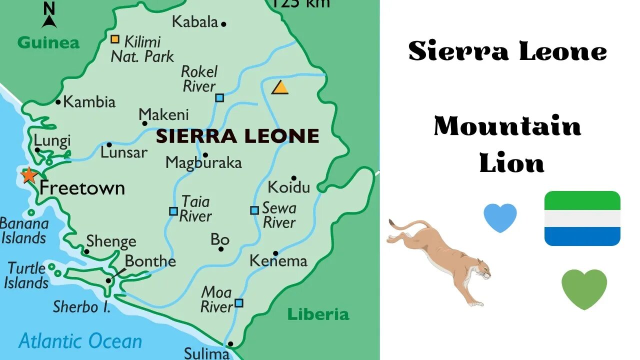 Sierra Leone - Mountain Lion