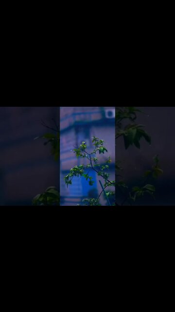 just listen this🧘‍♂️ #shorts @ar.creator63