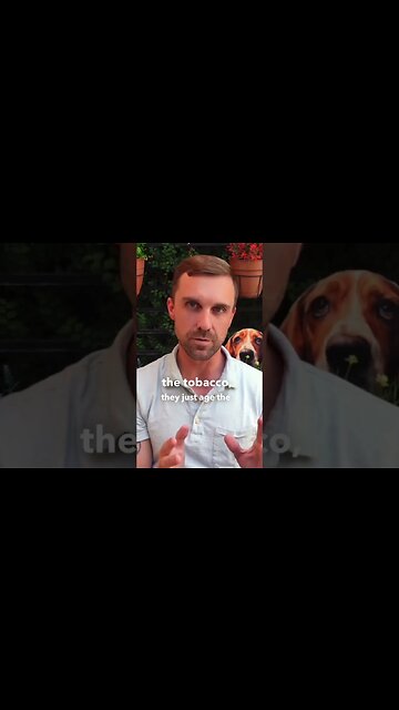 Which Cigars Age The Best? #tips #cigars #cigar #shorts #luxury