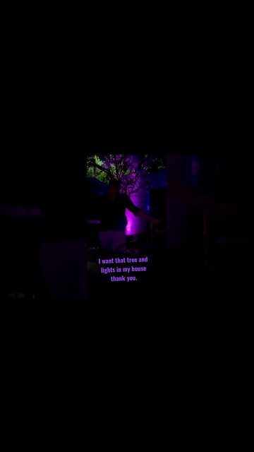 Dancing at #elixir #orlando I love that tree with that set of colors accenting it. #edm #pretty