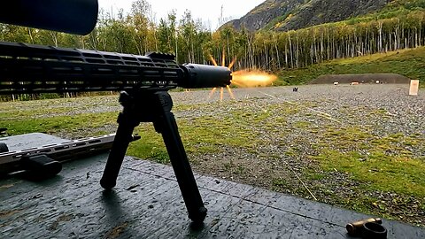 Suppressed 308