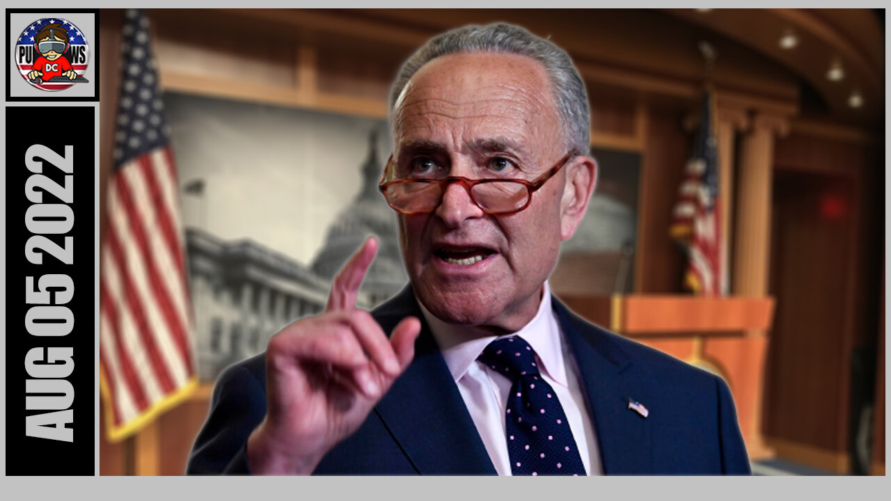 Chuck Schumer I Hate Stock Buybacks