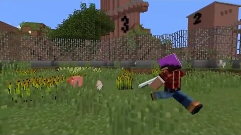 19 $$ I survived 100 Days as a Chicken in Minecraft