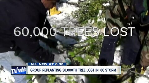 Major milestone: group replanting 30,000th tree lost in October storm