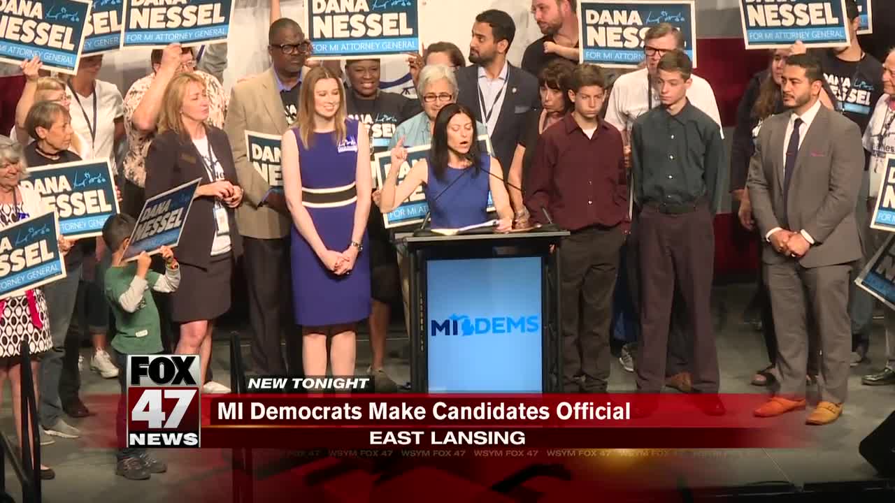 Michigan Democrats make official their slate of candidates