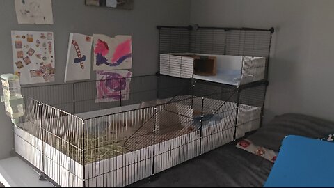 Guinea Pig Indoor Habitat Cage with Waterproof Plastic Bottom