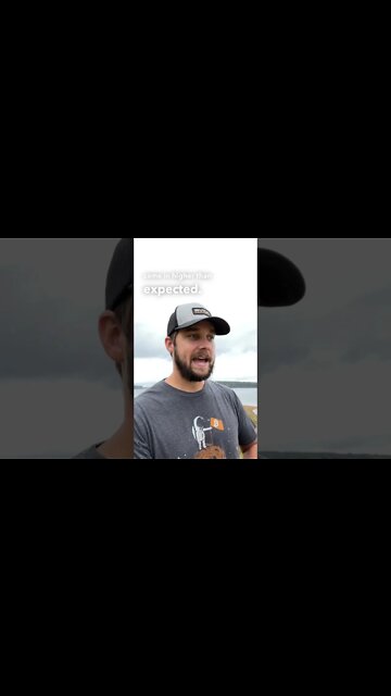 Crypto Market Rallying On Jobs Report! 🔥🚀 #shorts