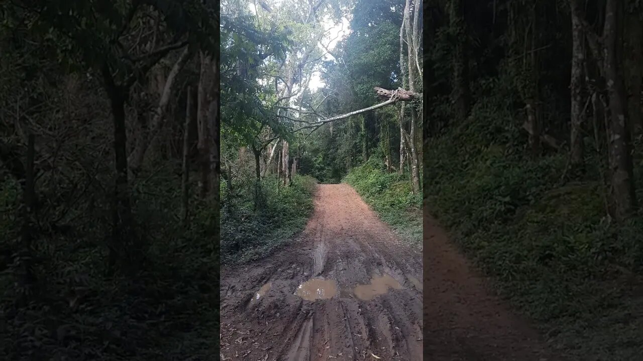 NA ESTRADA JOSE LOPES TAIPAS CANTAREIRA NINGUÉM NA ESTRADA COM LAMA