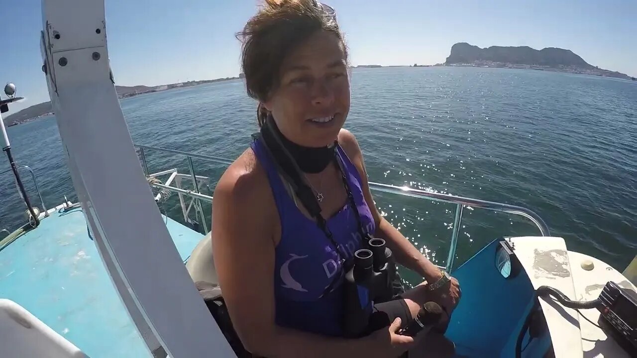 Fiona found the Dolphins.