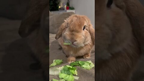 So yummy!!!!