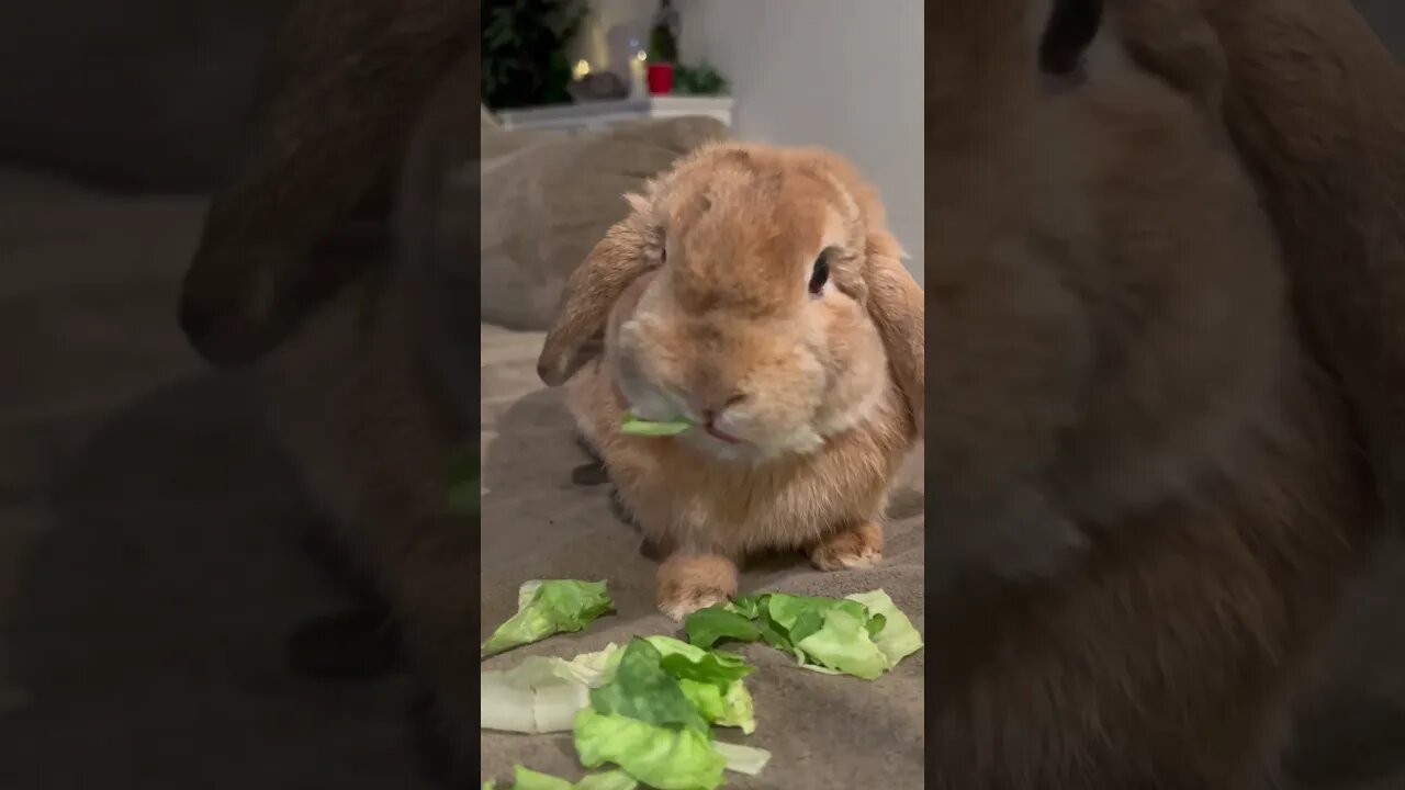 So yummy!!!!