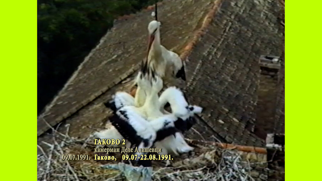 19910709 Gakovo 2
