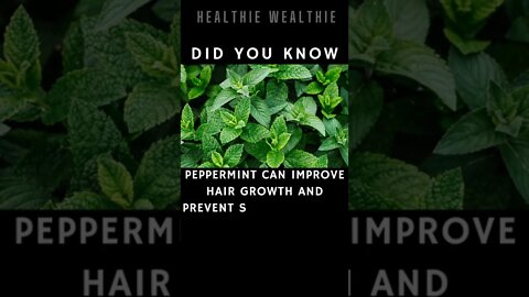 The Best Healing Herbs You Should Know || #health || #shorts || #herbs