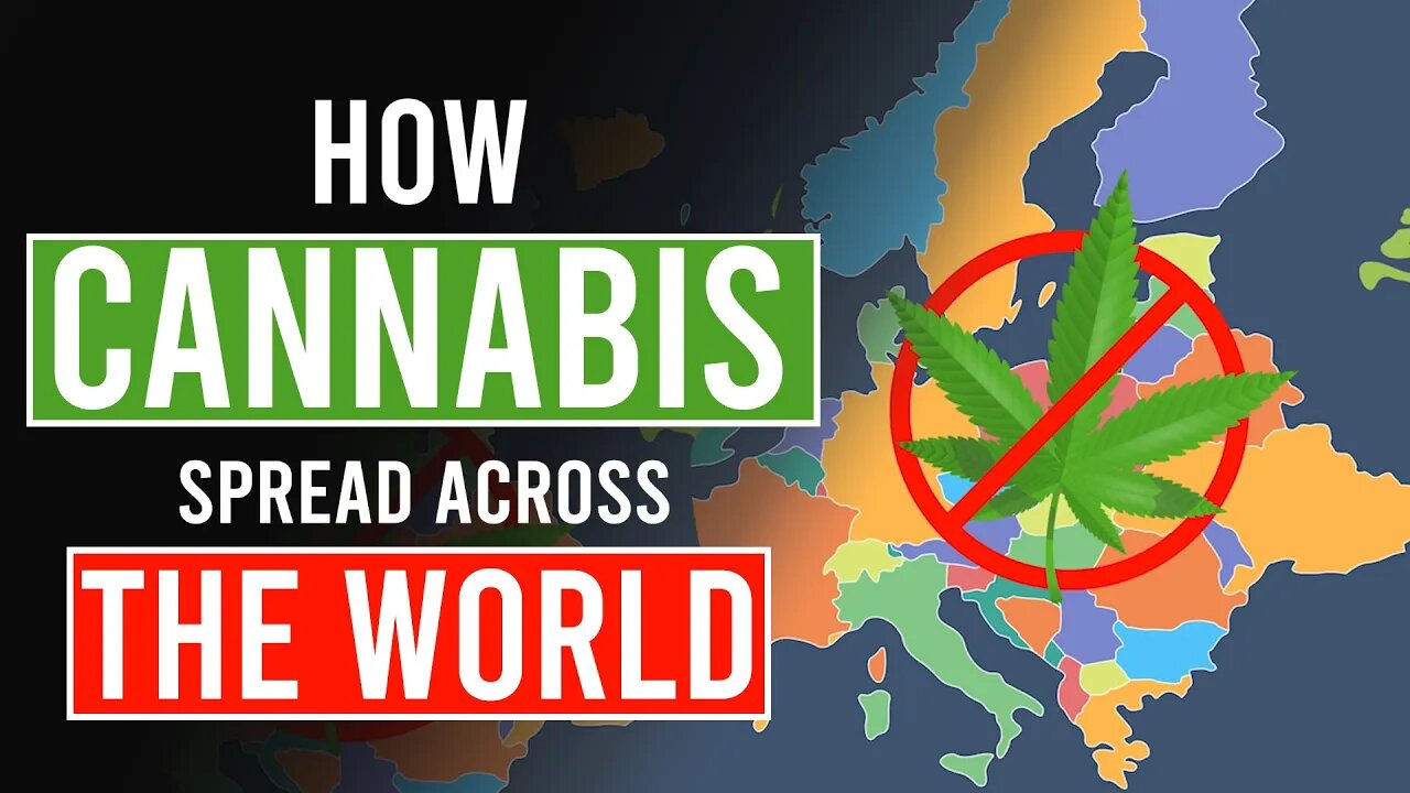 How Cannabis Spread across the Globe!