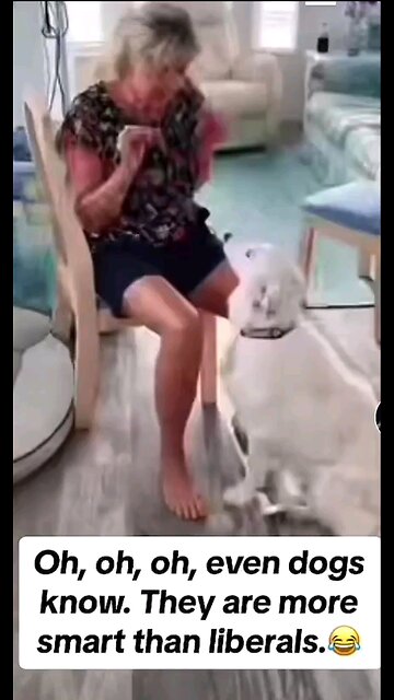 Good dog! Smart too!