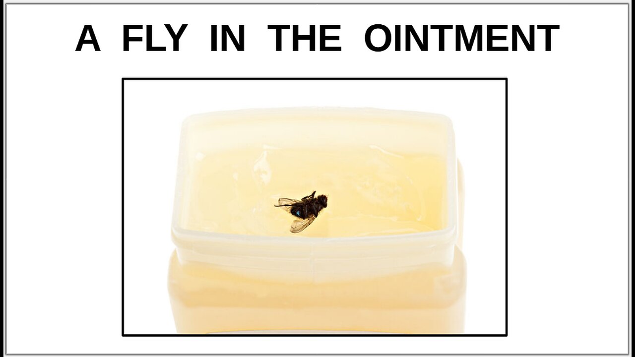 A FLY IN THE OINTMENT
