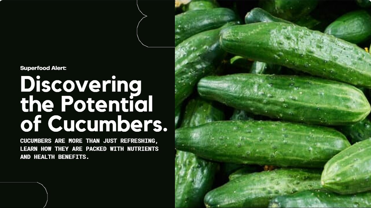 Unveiling the Superfood Potential of Cucumbers