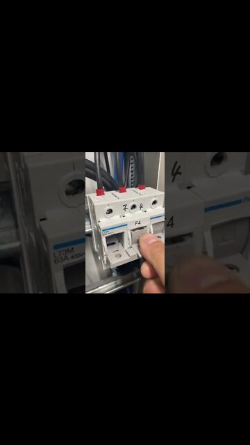 #shorts #2022 funny,prank,funjokes,dad jokes,funny memes,funny video,fun,laughing,funny animal,knock