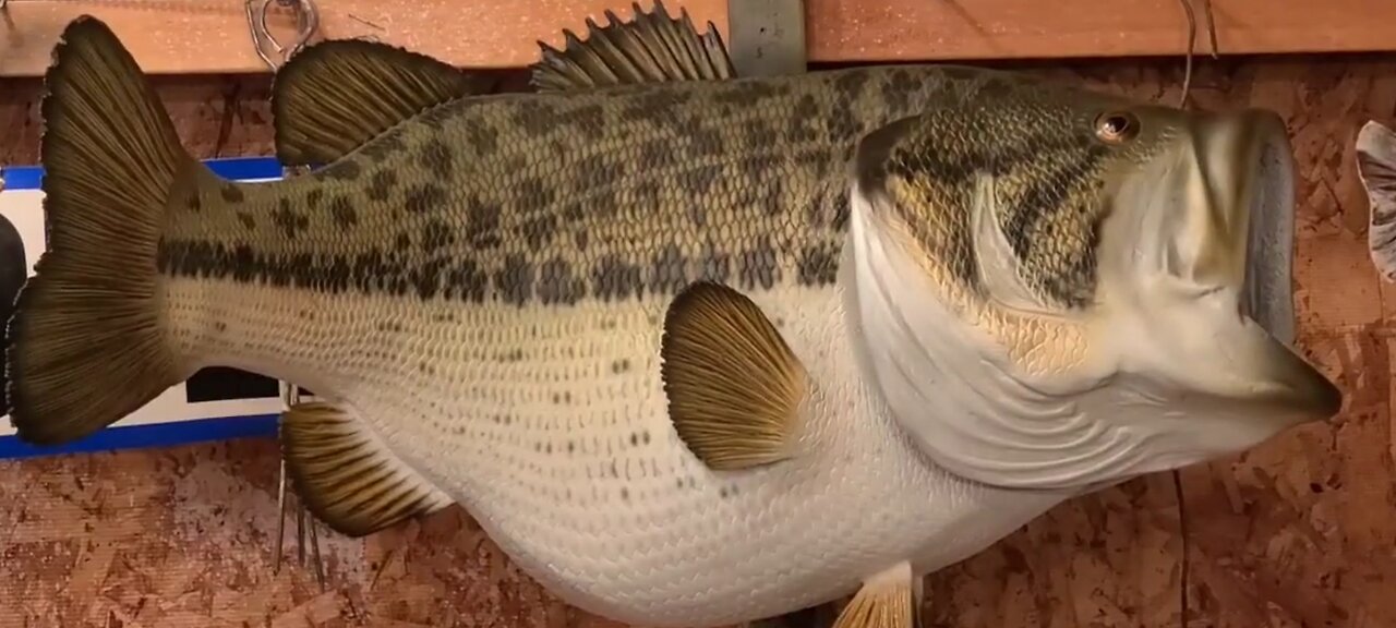 I Widened the Stripe Pattern on a Reproduction Largemouth Bass