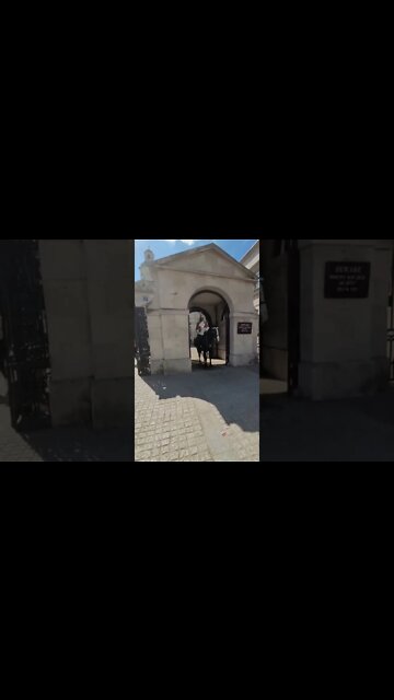 The Horse hooves slip #horseguardsparade