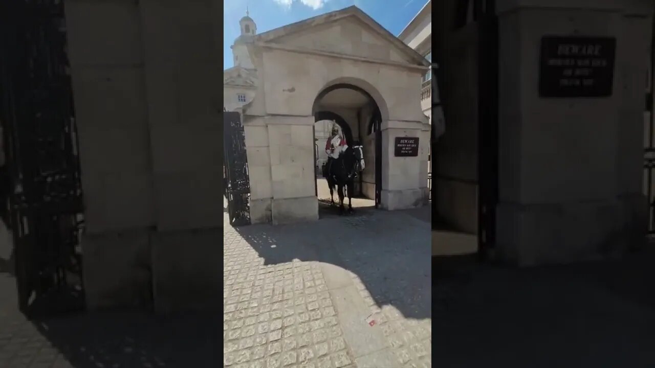 The Horse hooves slip #horseguardsparade