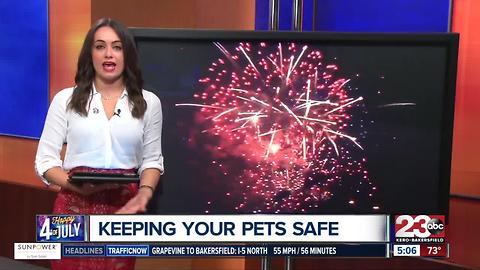Everything you need to know for the 4th of July