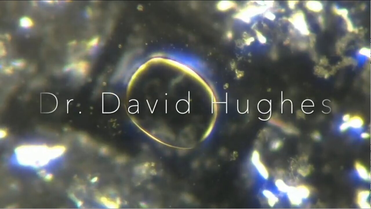 Dr. David Hughes - Bio-nano Upgrades