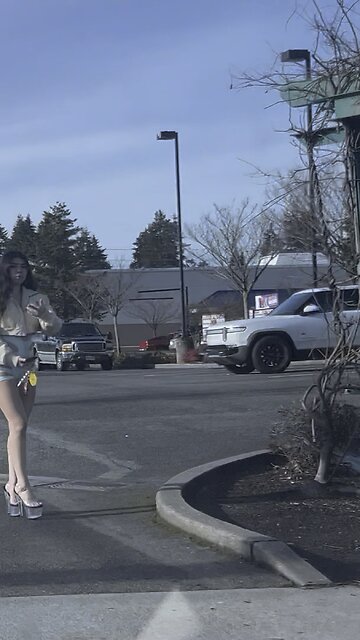 Aurora Avenue Seattle blade