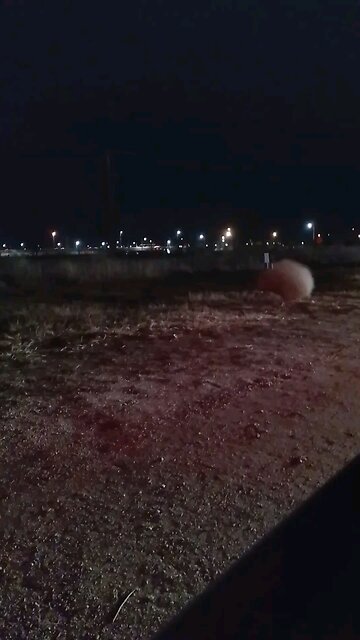 some stupid shit we did while in line for the giveaway