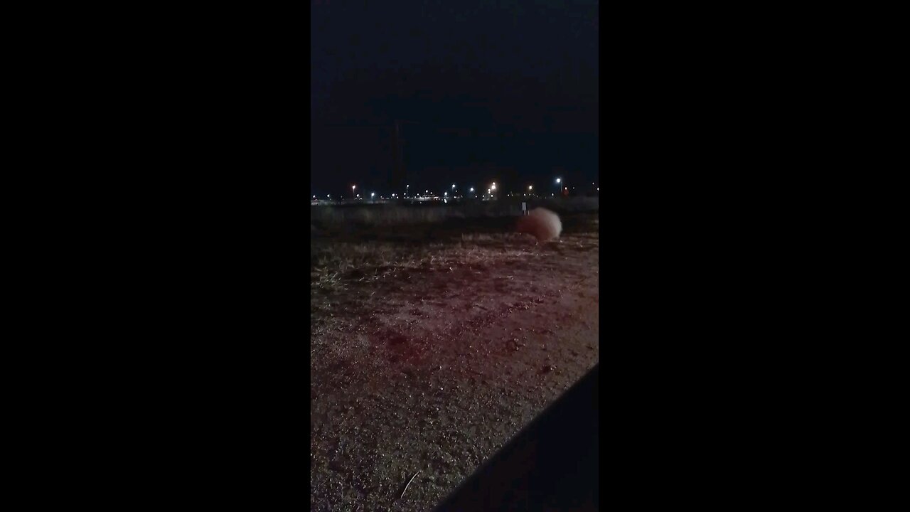 some stupid shit we did while in line for the giveaway