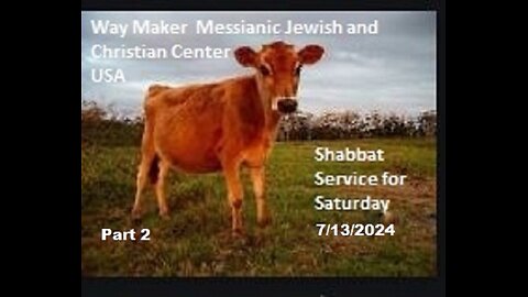 Parashat Chukat- Shabbat Service for 7.13.24 - Part 2