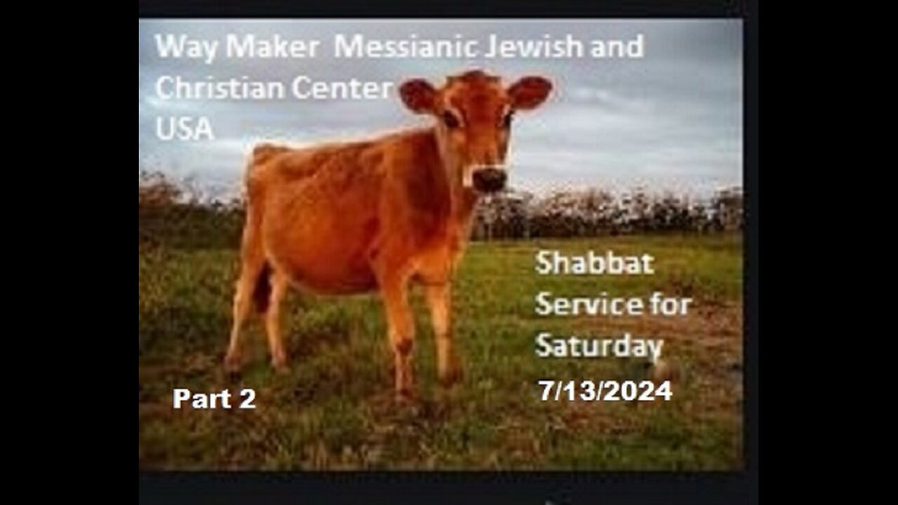 Parashat Chukat- Shabbat Service for 7.13.24 - Part 2