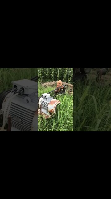 #shorts #2022 funny,prank,funjokes,dad jokes,funny memes,funny video,fun,laughing,funny animal,knock