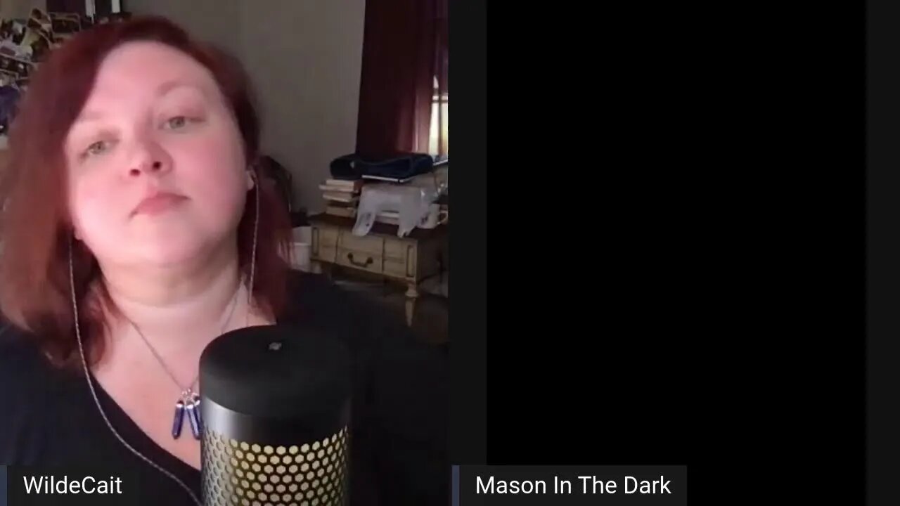 Welcome to the Writer's Room - Featuring: Mason in the Dark and Wilde Cait