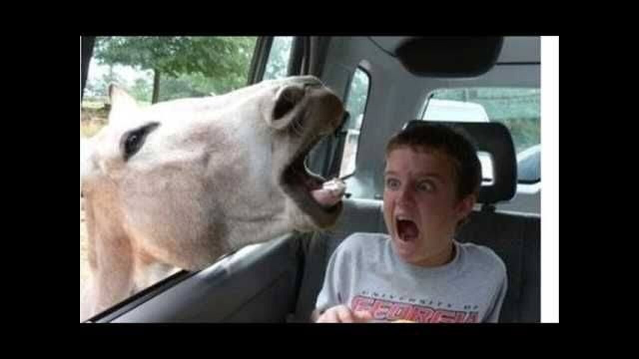 Idiots on wheel’s! TRY NOT TO LAUGH😷