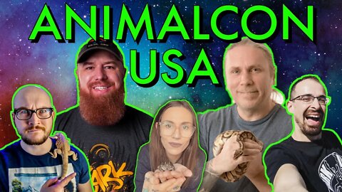 MEET YOUR FAVORITE ANIMAL CONTENT CREATORS!