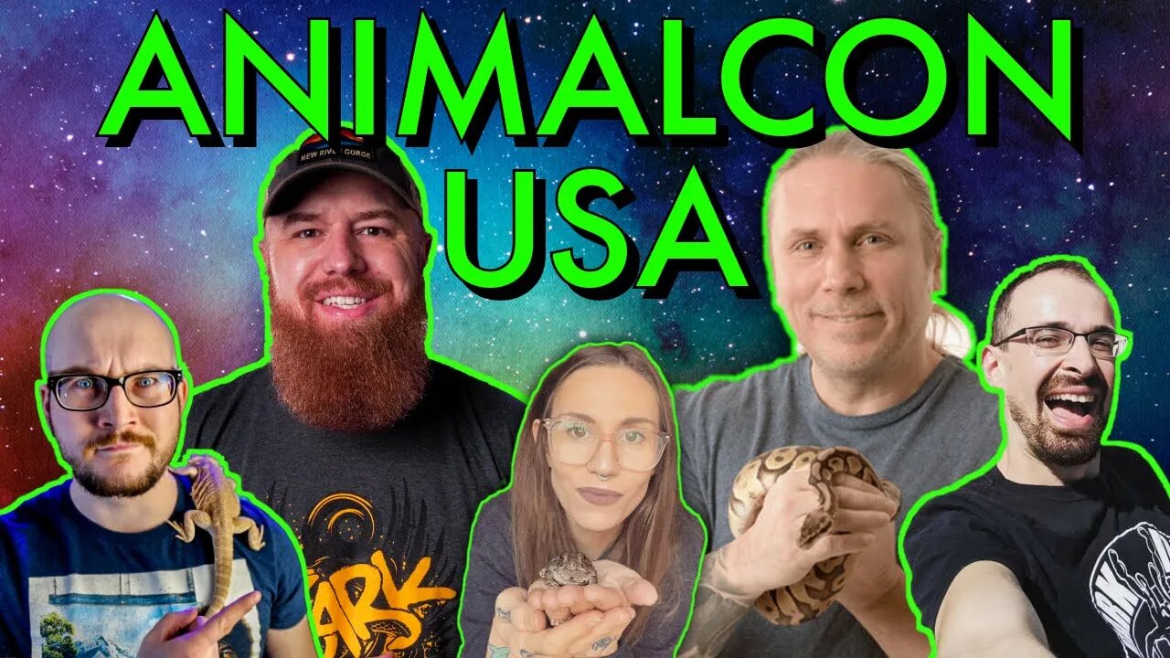 MEET YOUR FAVORITE ANIMAL CONTENT CREATORS!