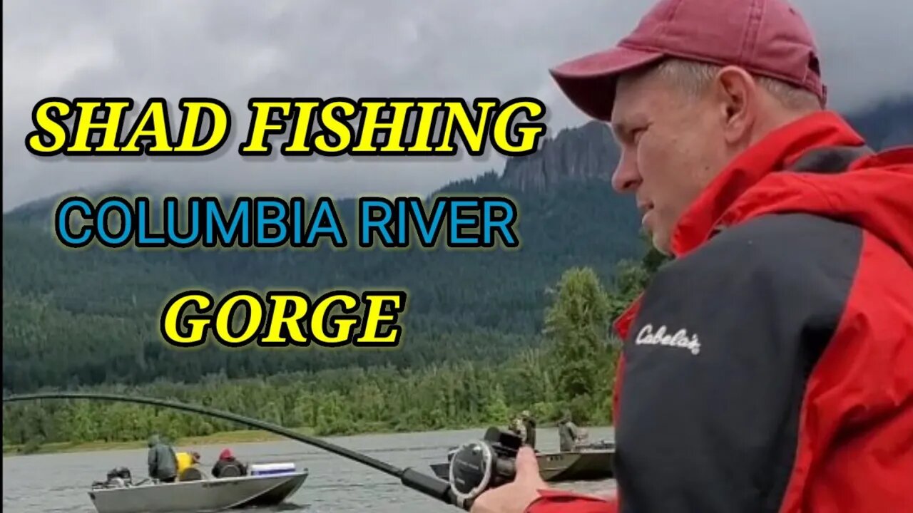 Shad fishing at Beacon Rock State Park (The Columbia River Gorge)🇺🇲