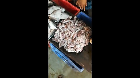 Fish market🐟