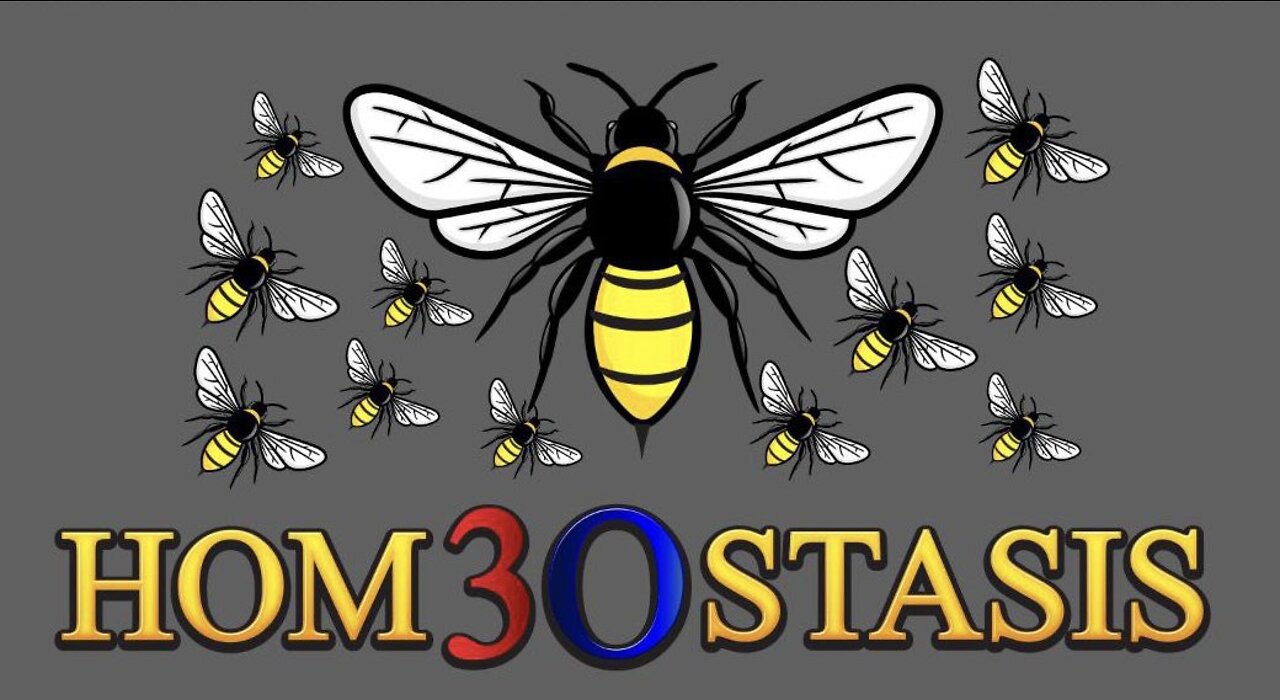 HOM3OSTASIS Protocol for COVID-19, vaccine injury & beyond by Dmitry Kats PhD, MPH - 4/20 interview
