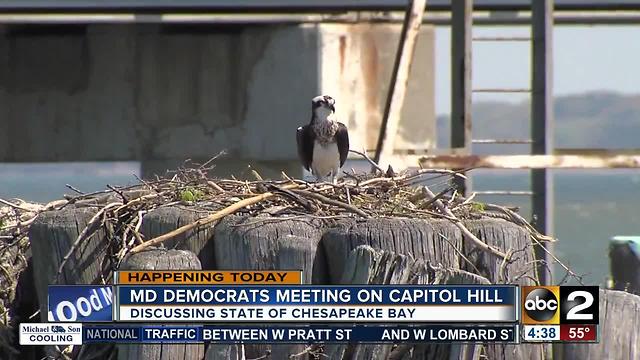 Md democratic lawmakers are meeting to discuss the Chesapeake Bay on Wednesday